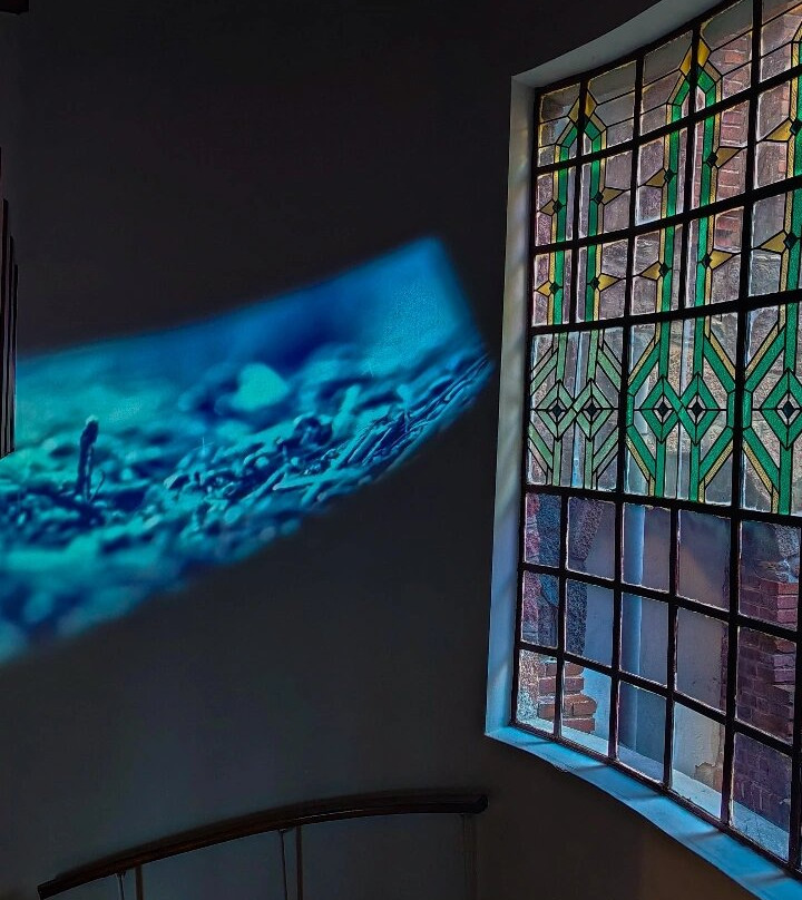 Universo Pittamiglio-蒙得维的亚必去景点