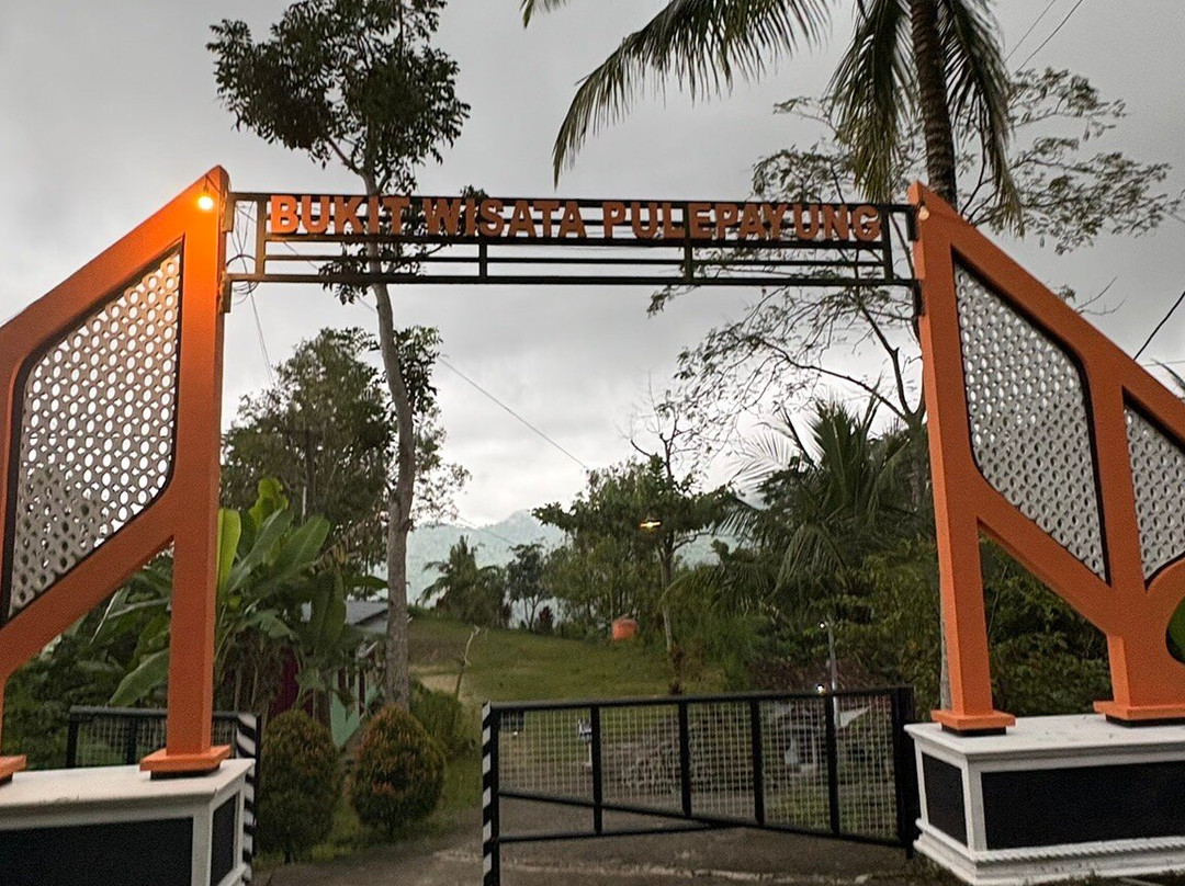 Pule Payung-Kulon Progo必去景点