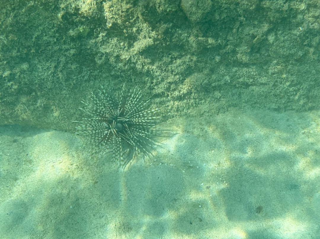 阁骨岛海滩度假酒店主图