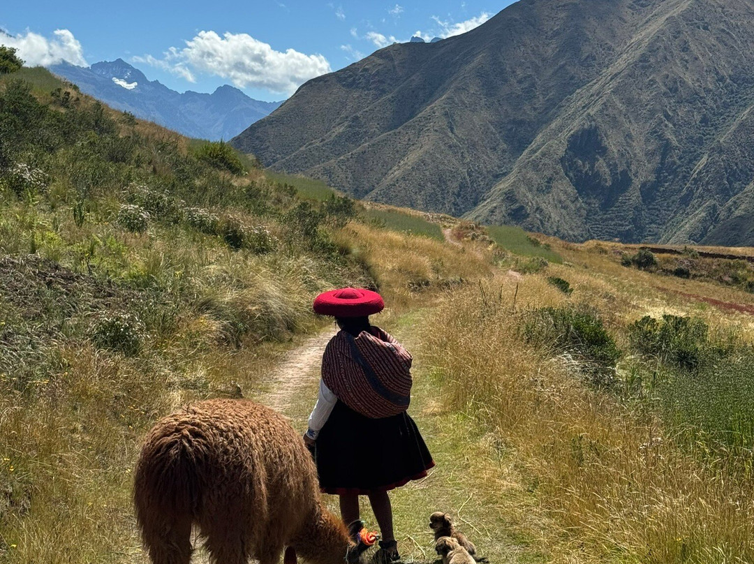Alpaca Trek Adventures景点图片