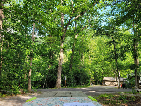 Elizabeth Furnace Recreation Area-Fort Valley必去景点