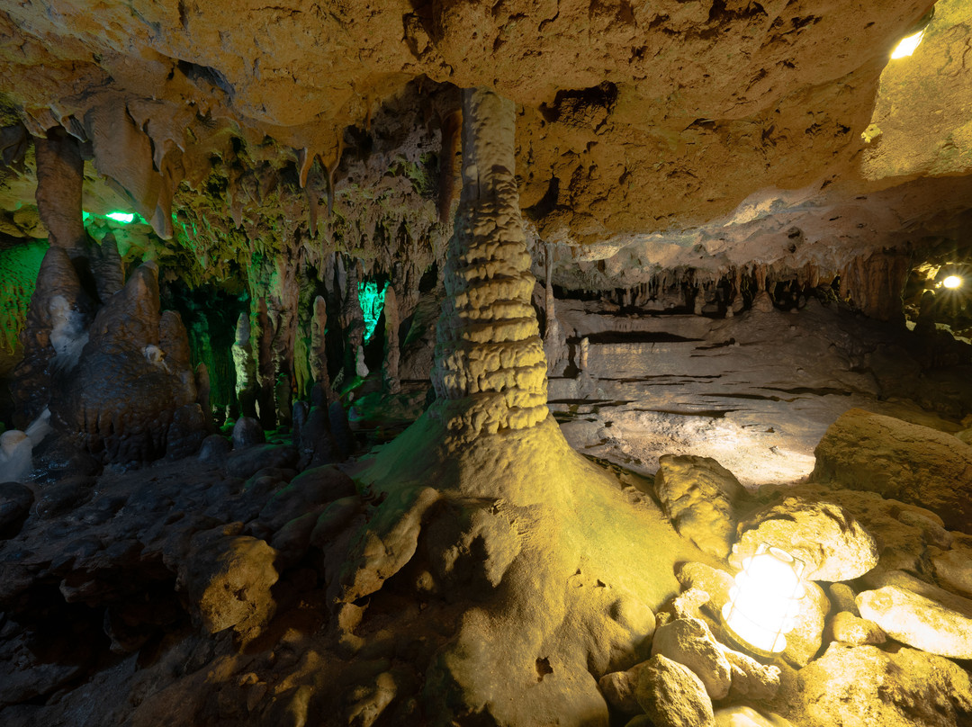 Florida Caverns State Park-Marianna必去景点