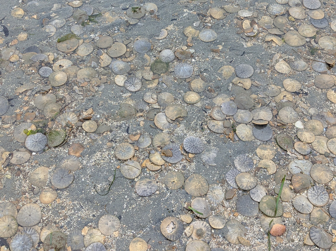 Purdy Sand Spit County Park-吉格港必去景点