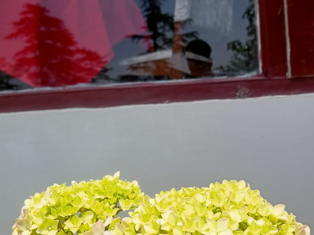 Seclude Shimla Taraview主图