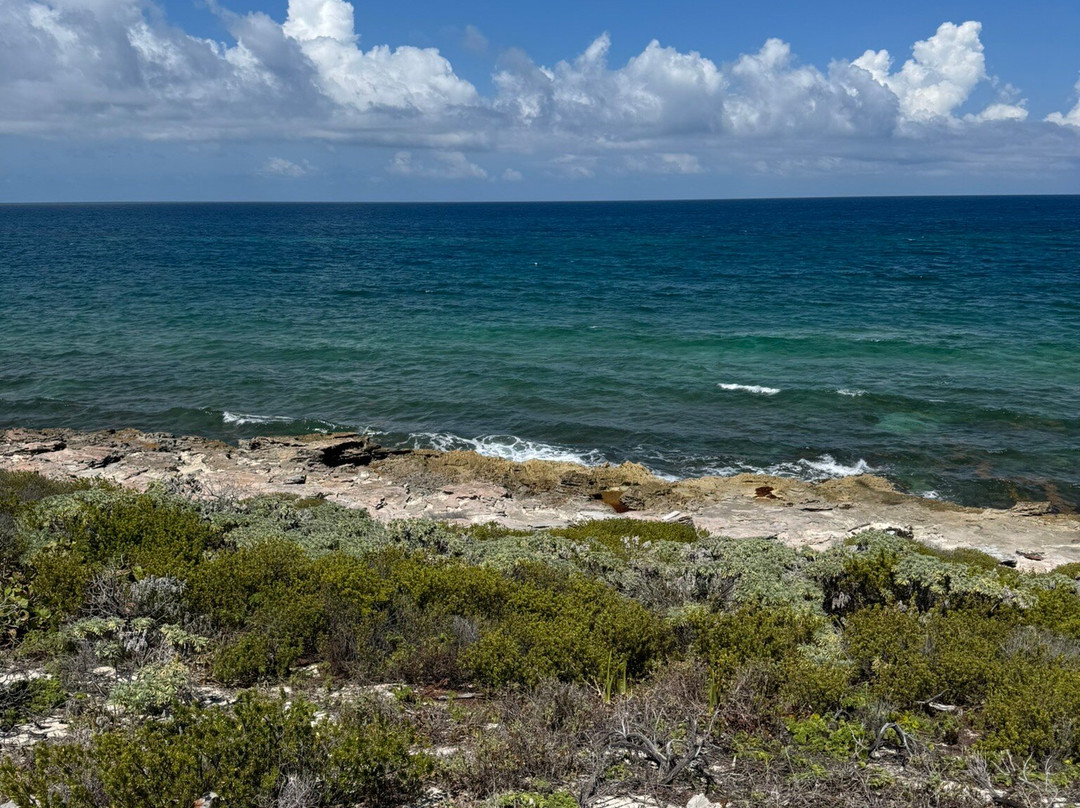 Isla Contoy National Park-Isla Contoy必去景点