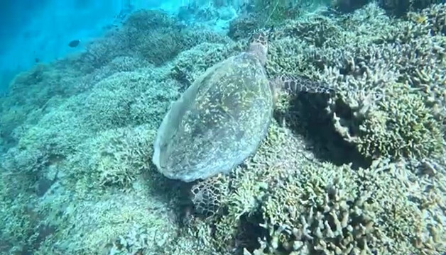 West Bali Discovery-佩母德兰必去景点