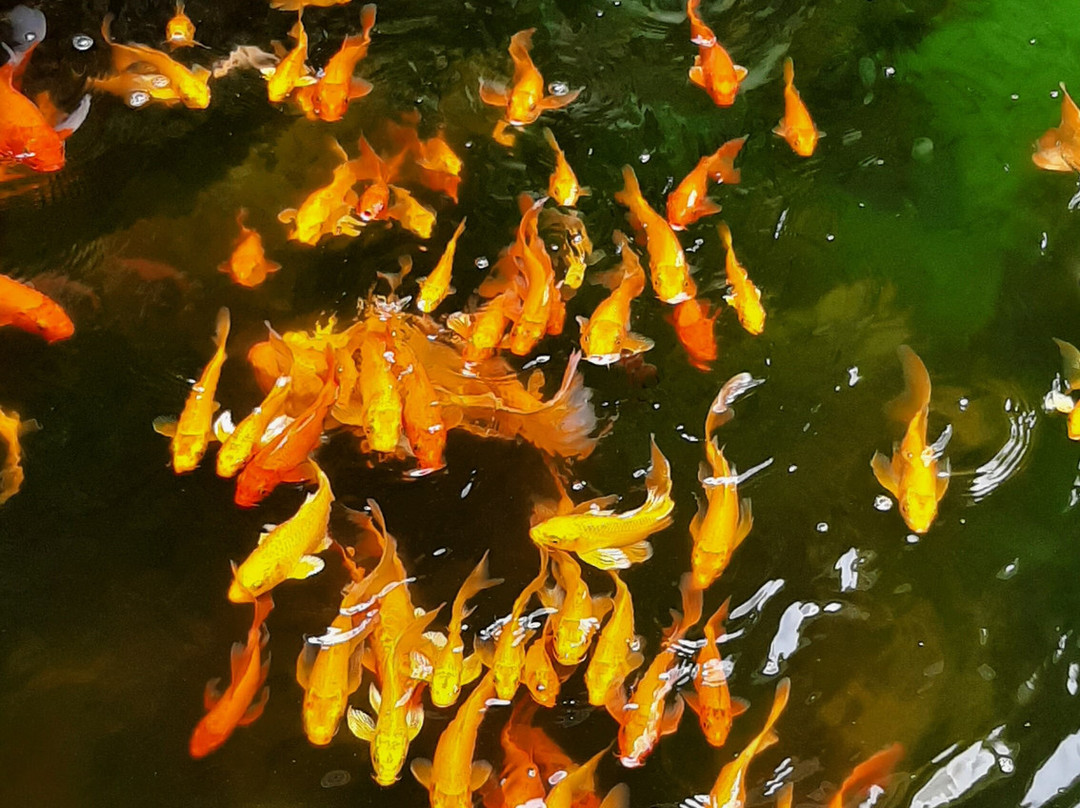 民族博物馆-Chang Phueak必去景点