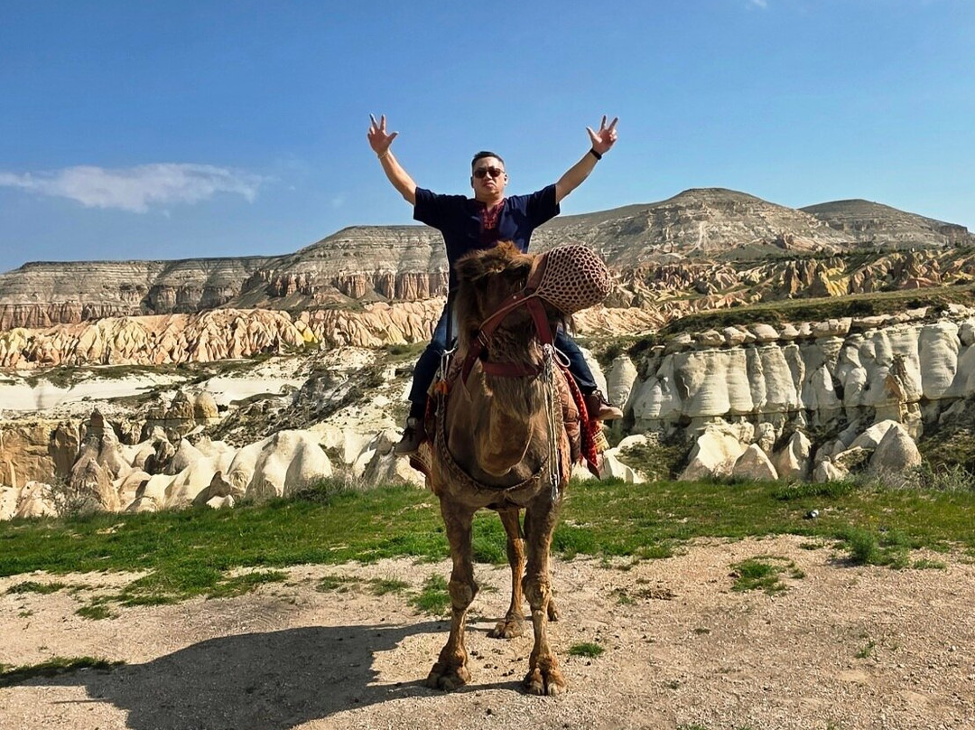 Savran Camel Safari-奥塔西萨必去景点