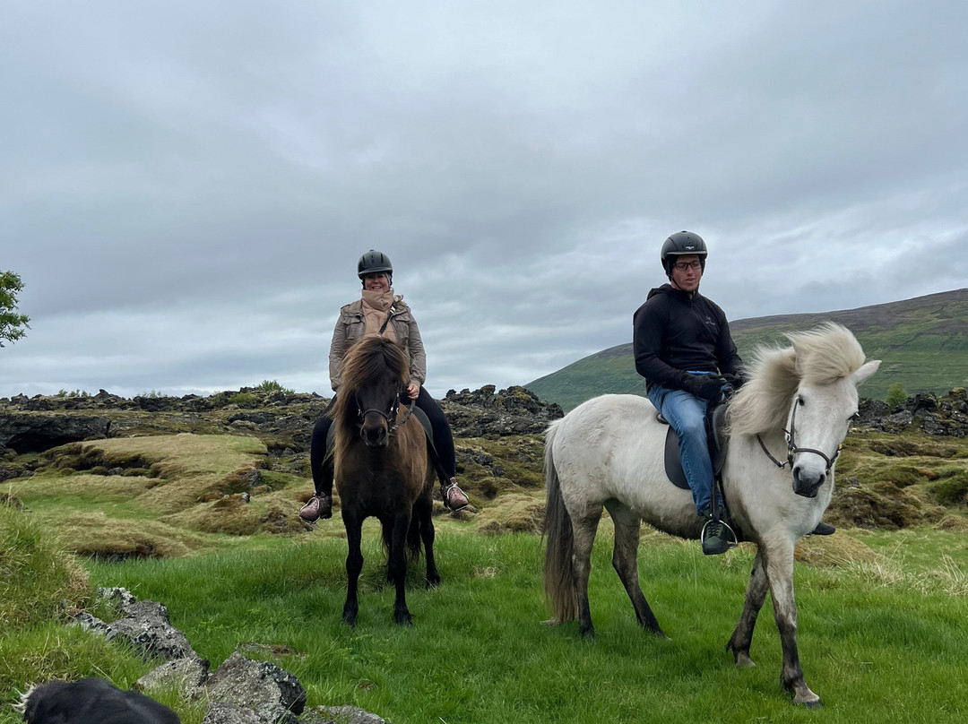 Lava Horses-胡萨维克必去景点