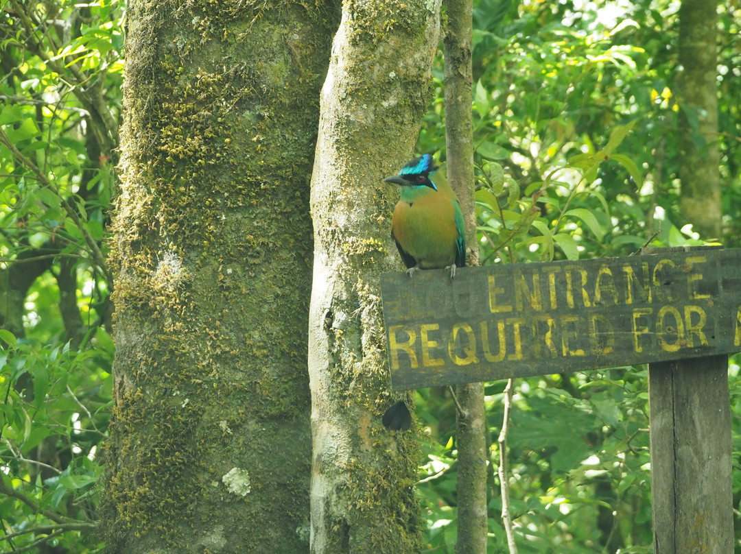 Ecological Sanctuary景点图片