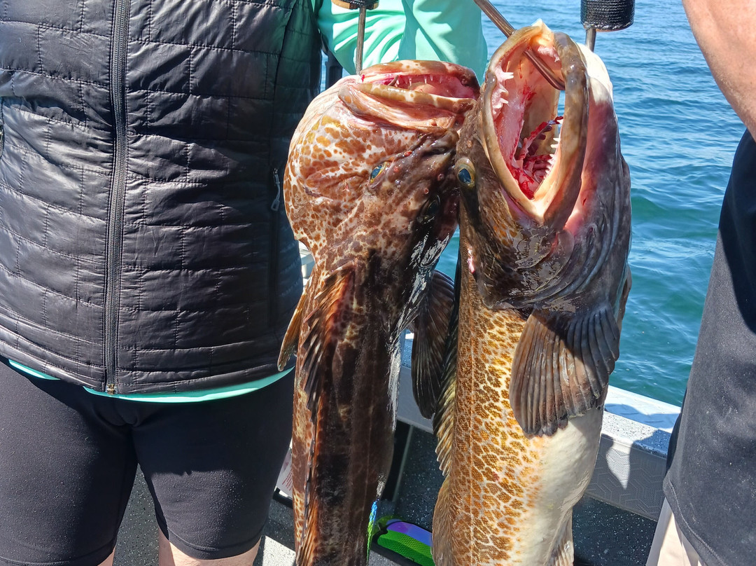 Andrew's West Coast Adventures-纳奈莫必去景点