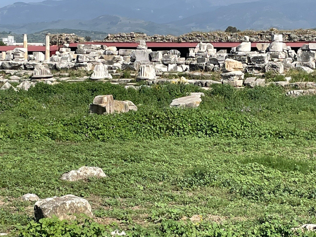 Magnesia Antik Kenti-Germencik必去景点