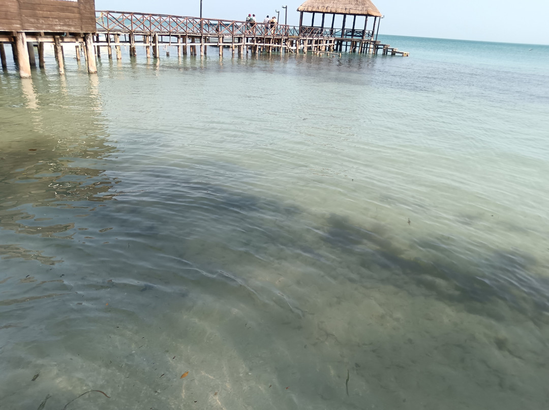 Isla Aguada-坎佩切州必去景点