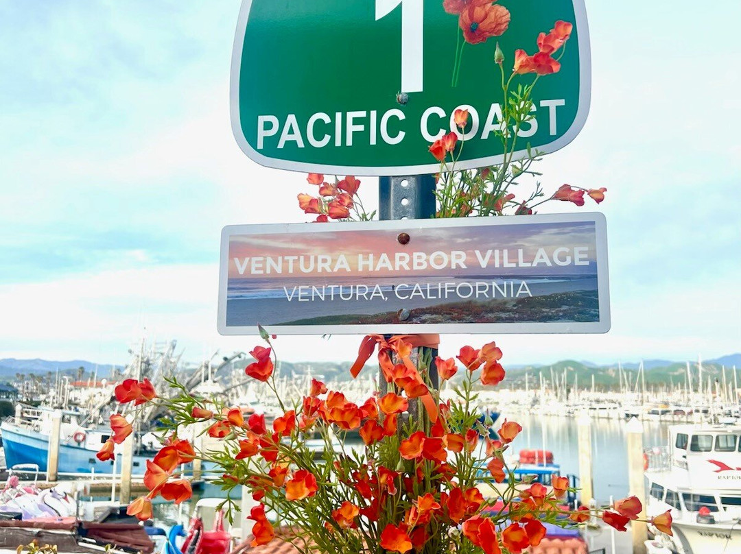 Ventura Harbor Village-文图拉县必去景点