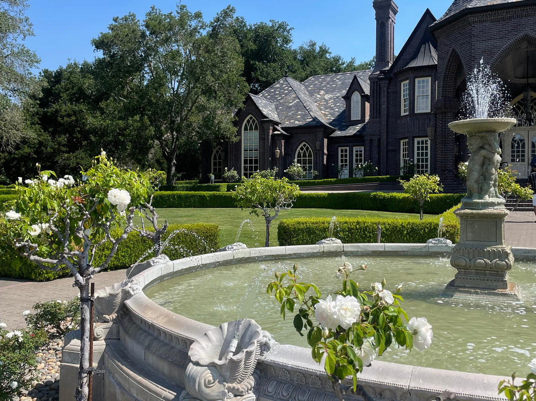 Ledson Winery & Vineyard景点图片