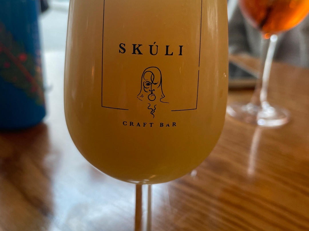Skuli Craft Bar-雷克雅未克必去景点