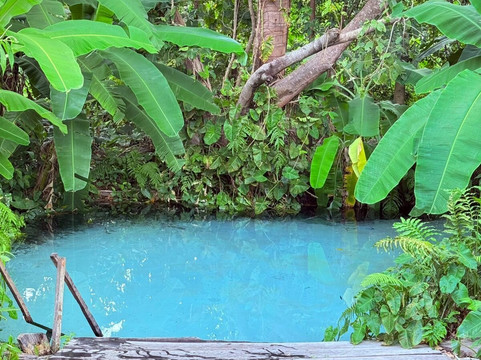 Conexão Cerrado - Turismo e Preservação-Palmas必去景点