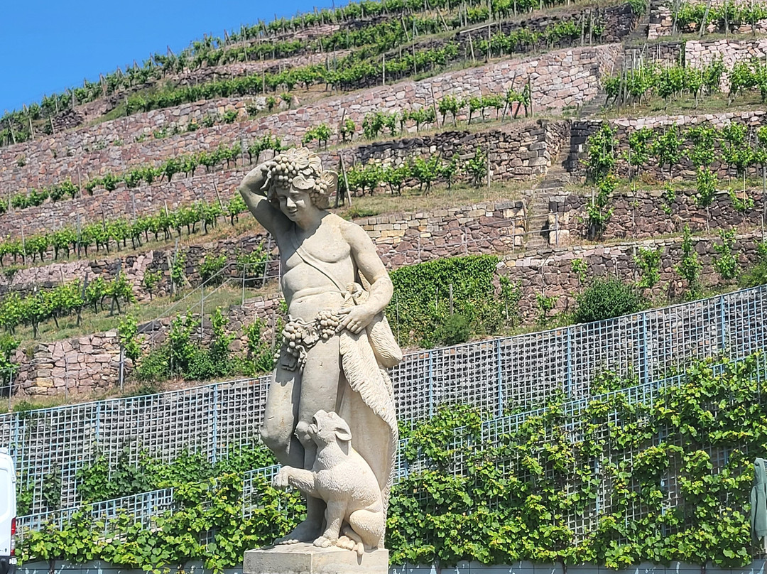 Schloss Wackerbarth-Radebeul必去景点