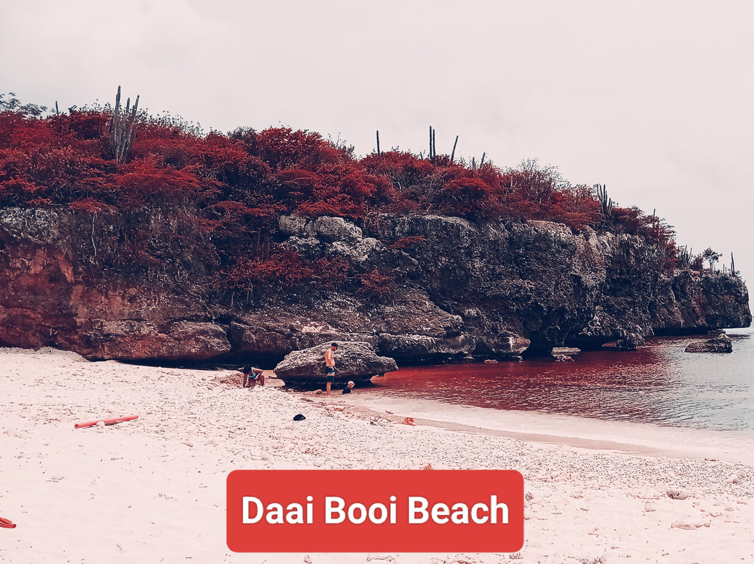 Daaibooi Beach-库拉索必去景点
