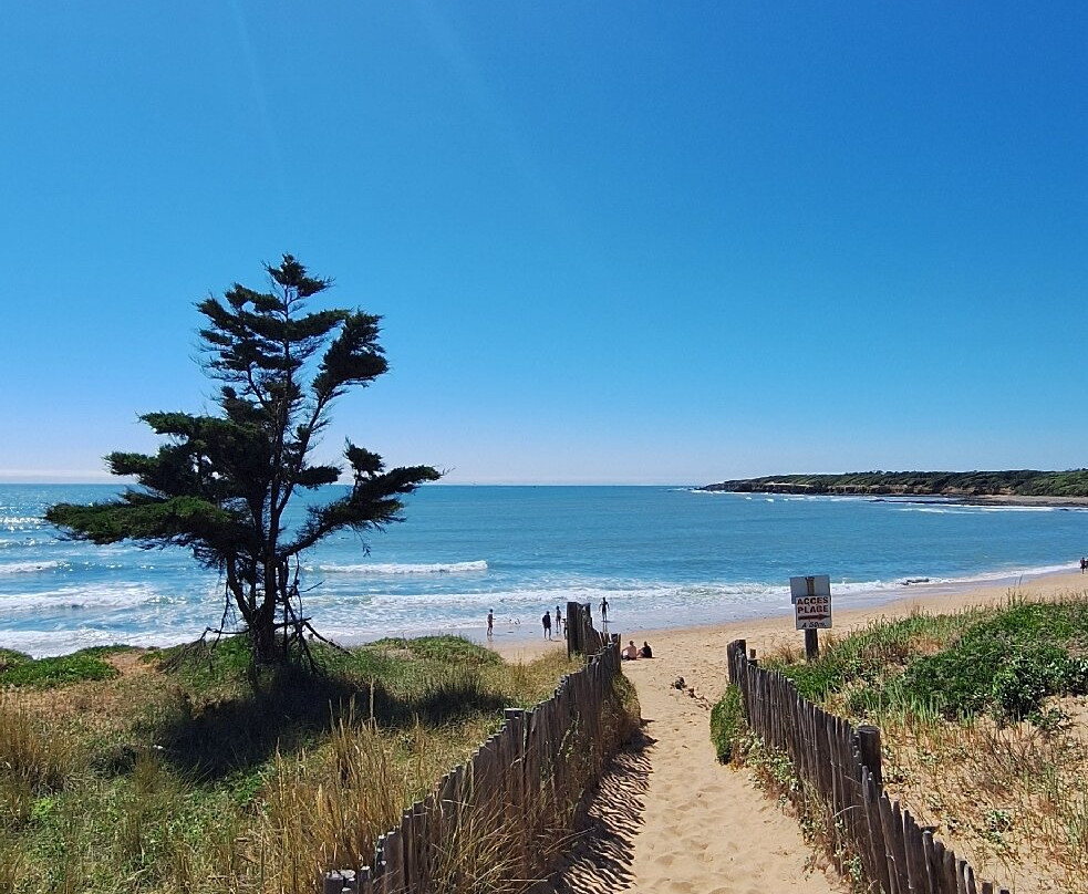 Jolly Château主图