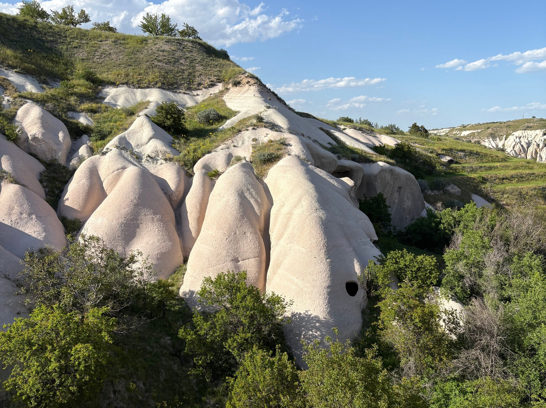 Valley Inn Cave Hotel主图