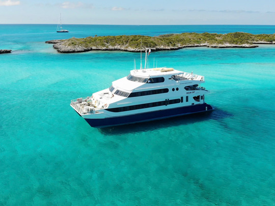 All Star Liveaboards