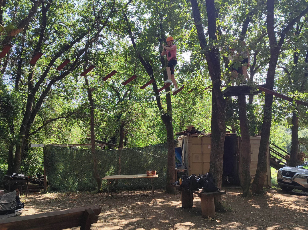 Adrenalin Park Medulin-梅杜林必去景点