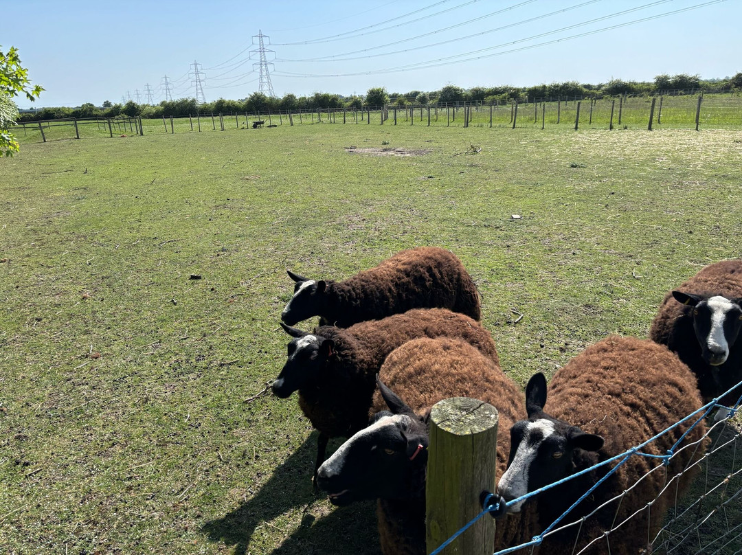 South Angle Farm Park景点图片