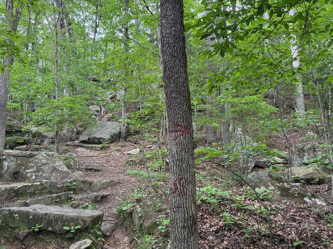 Tishomingo State Park景点图片