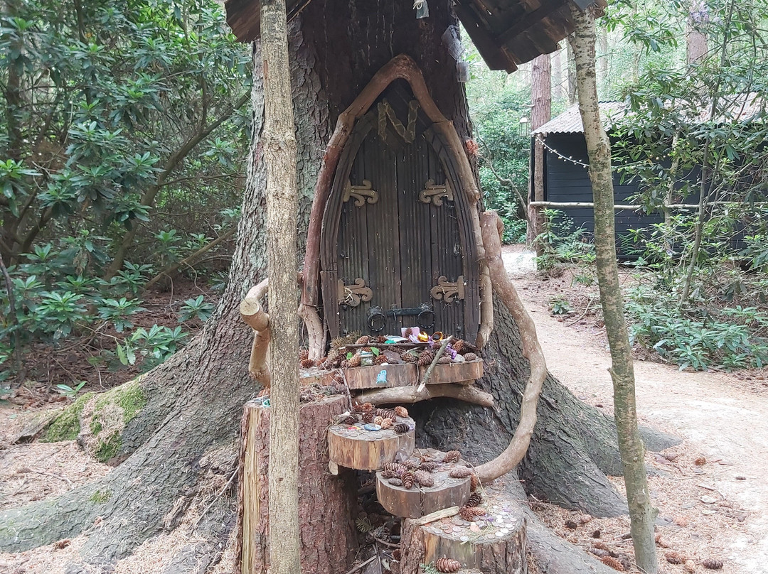 Northwood Trail – England’s Fairy Sanctuary景点图片