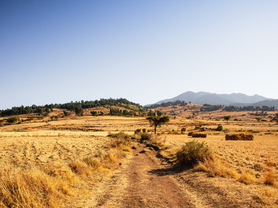 Savanna Hiking and Events