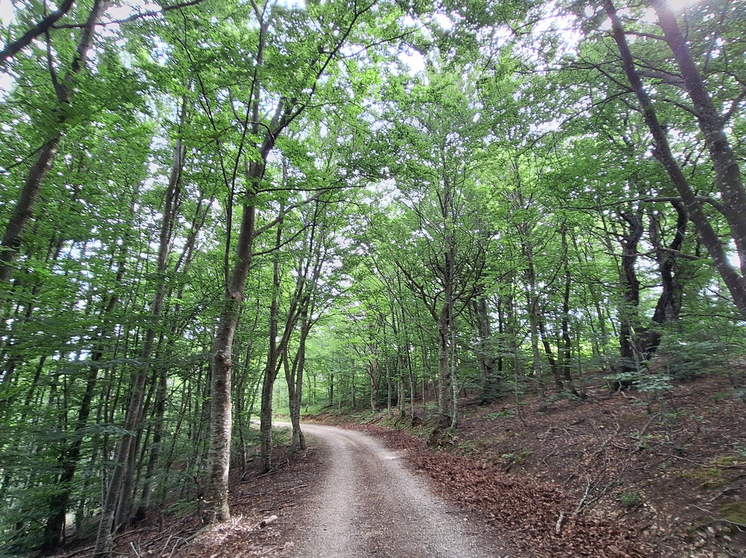 La Chapelle De Saint-maurice-Dieulefit必去景点