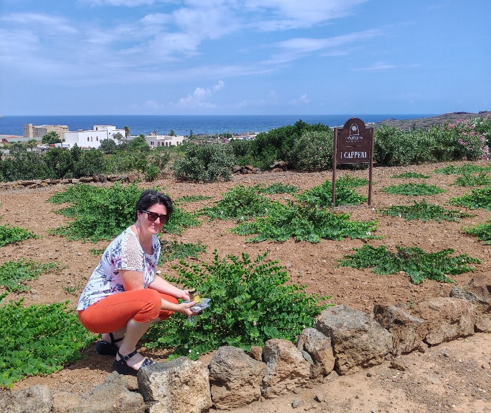 Capers Museum-Pantelleria Town必去景点