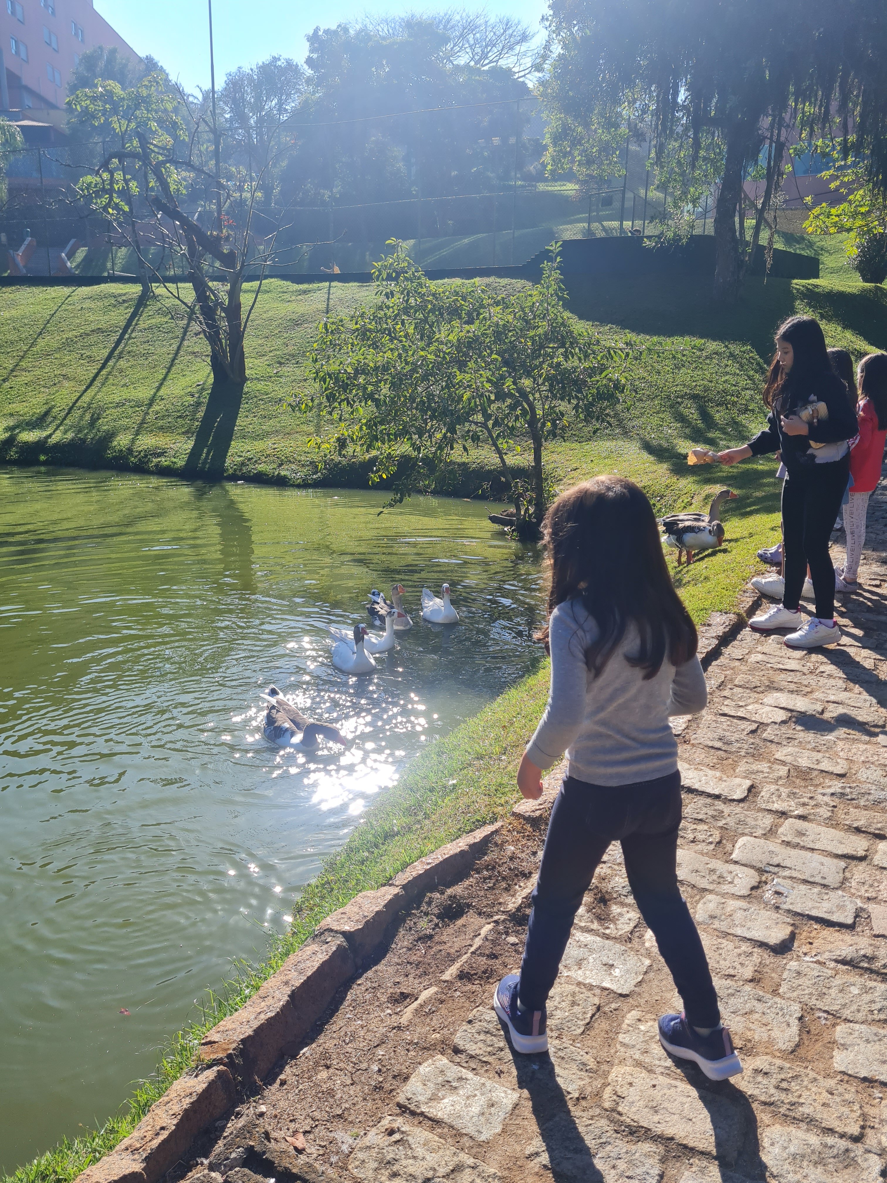 Almenat Embu das Artes, Tapestry Collection by Hilton-家庭/游戏区