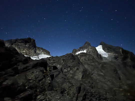 Primate Safari Experiences-坎帕拉必去景点