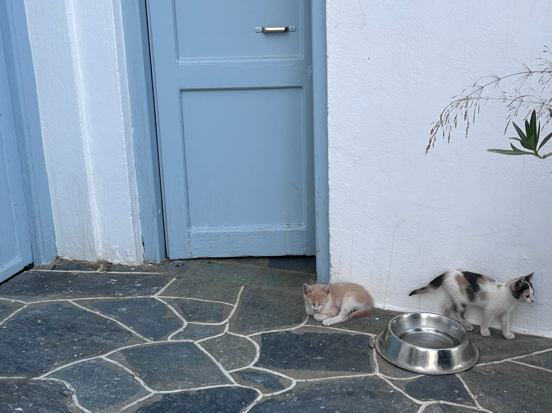 Hotel Petali Village主图