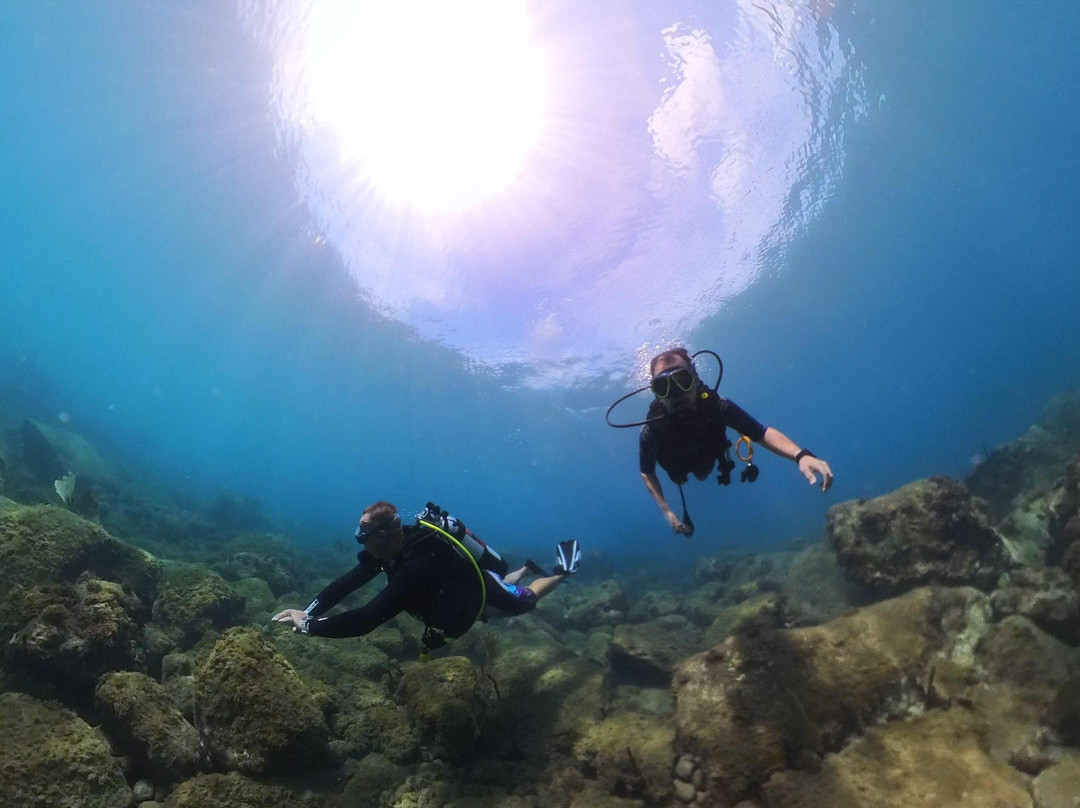 Basse-terre Plongée-Gourbeyre必去景点