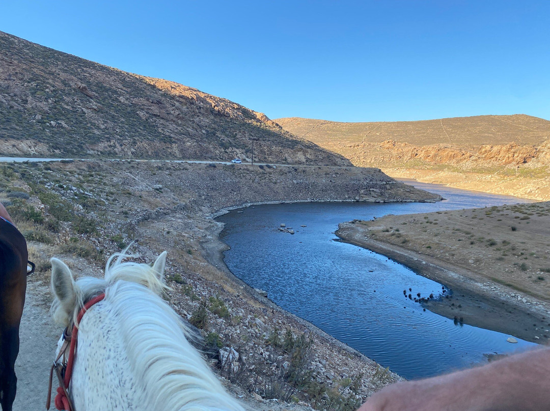 Mykonos Horseland-米科诺斯必去景点