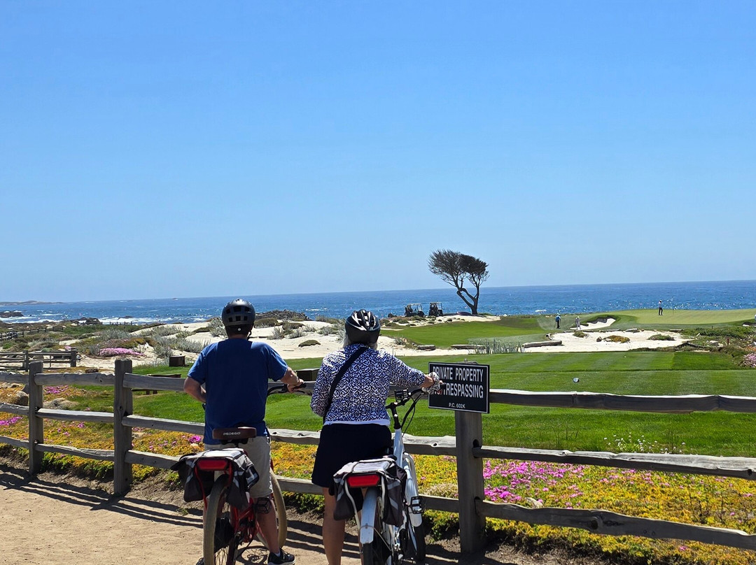 Highway 1 Road Trip-圣路易斯-奥比斯波必去景点