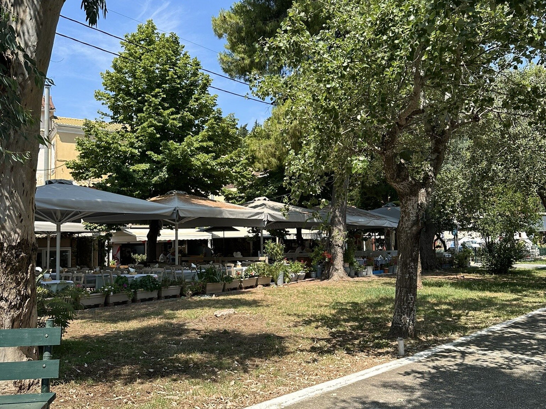 Skevoulis Studios主图