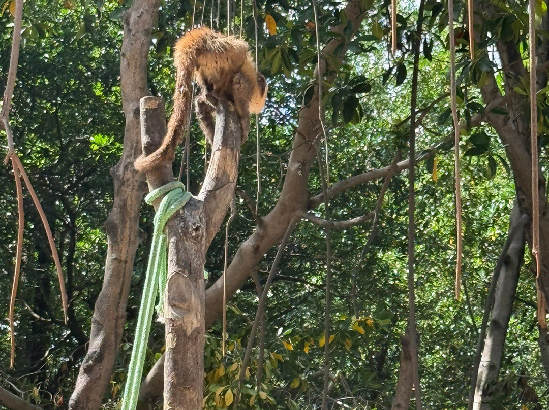 Rio Preguicas-巴雷里尼亚斯必去景点