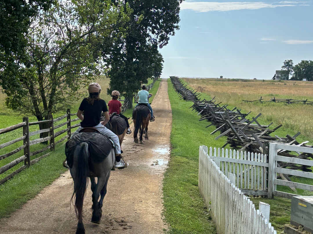 Hickory Hollow Horse Farm-葛底斯堡必去景点