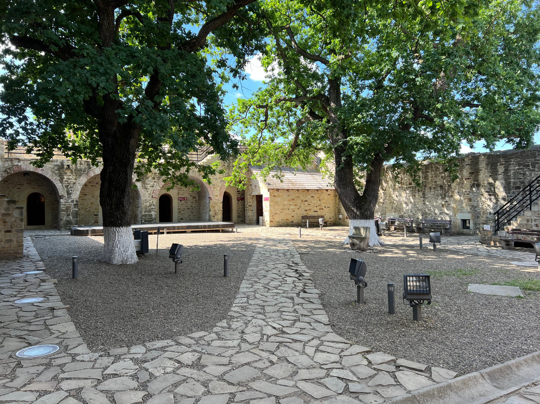 Cetatea de Scaun a Sucevei-Suceava必去景点