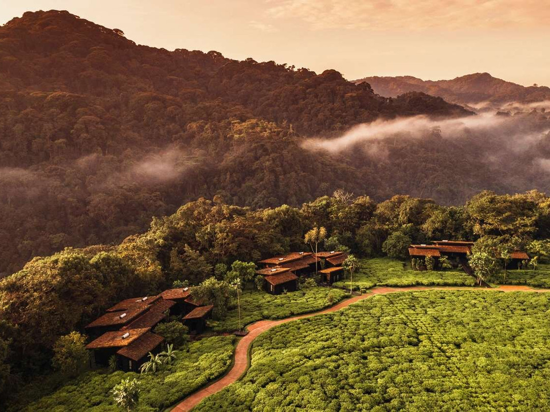 One & Only Nyungwe House