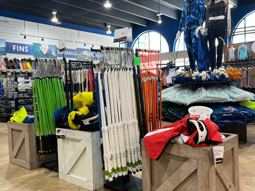 Divers Direct Key West-基韦斯特必去景点