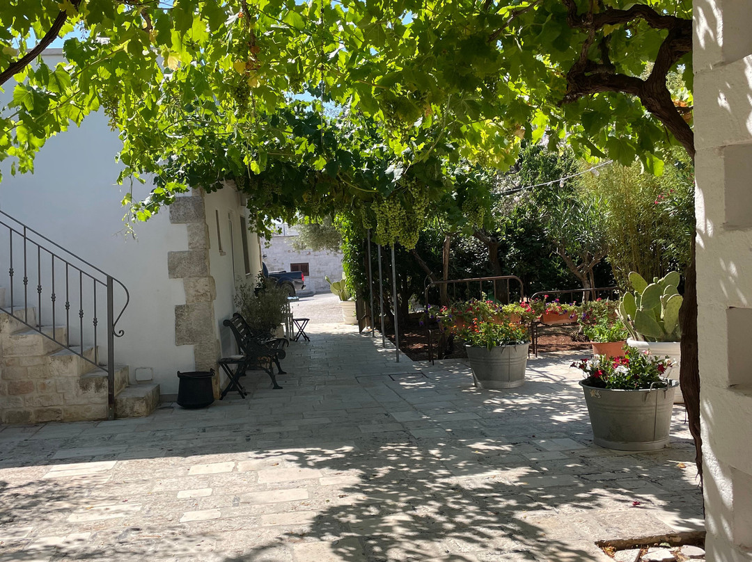 B&B Masseria Piccola主图