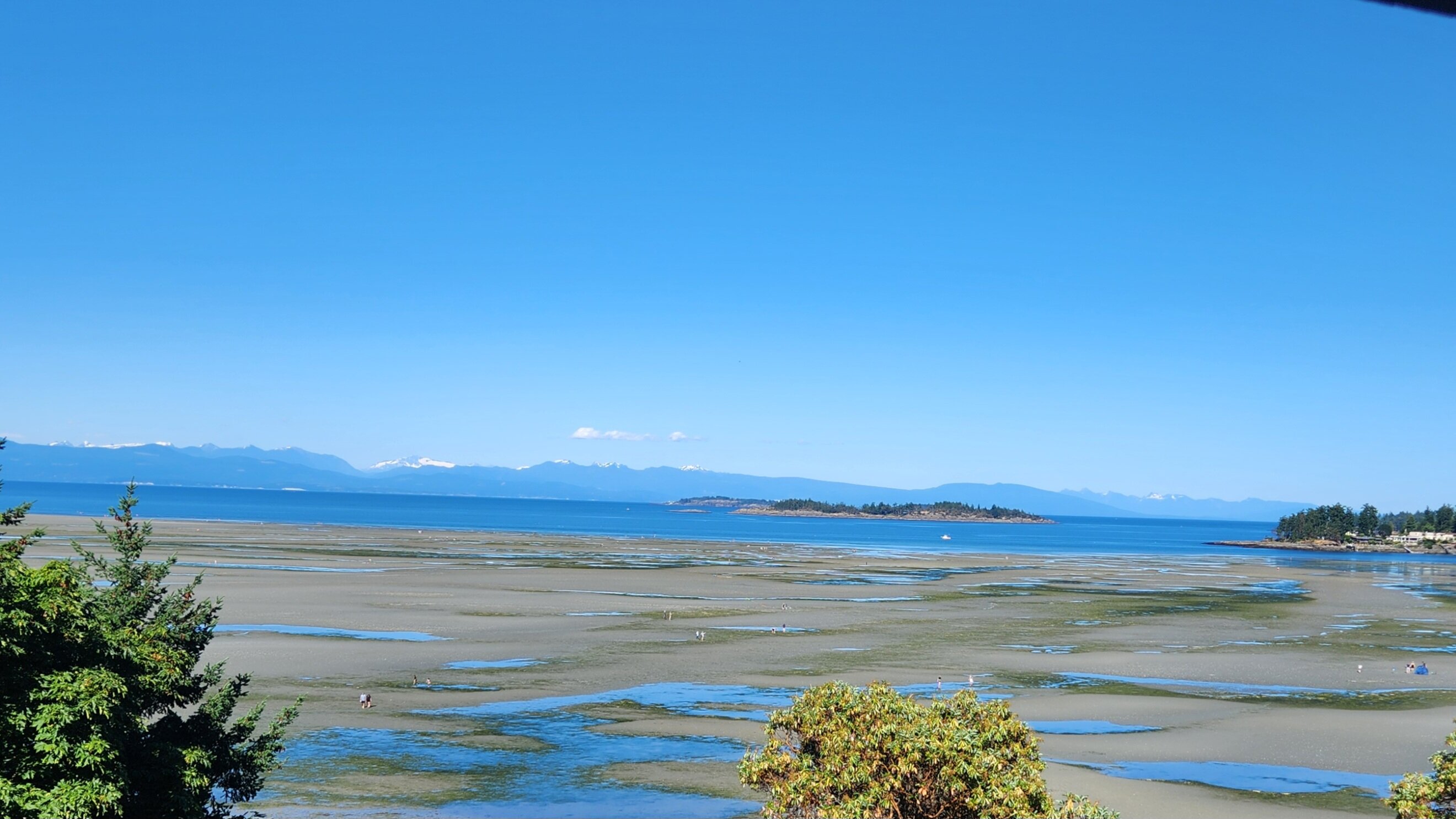 Tigh-Na-Mara Seaside Spa Resort-酒店景观