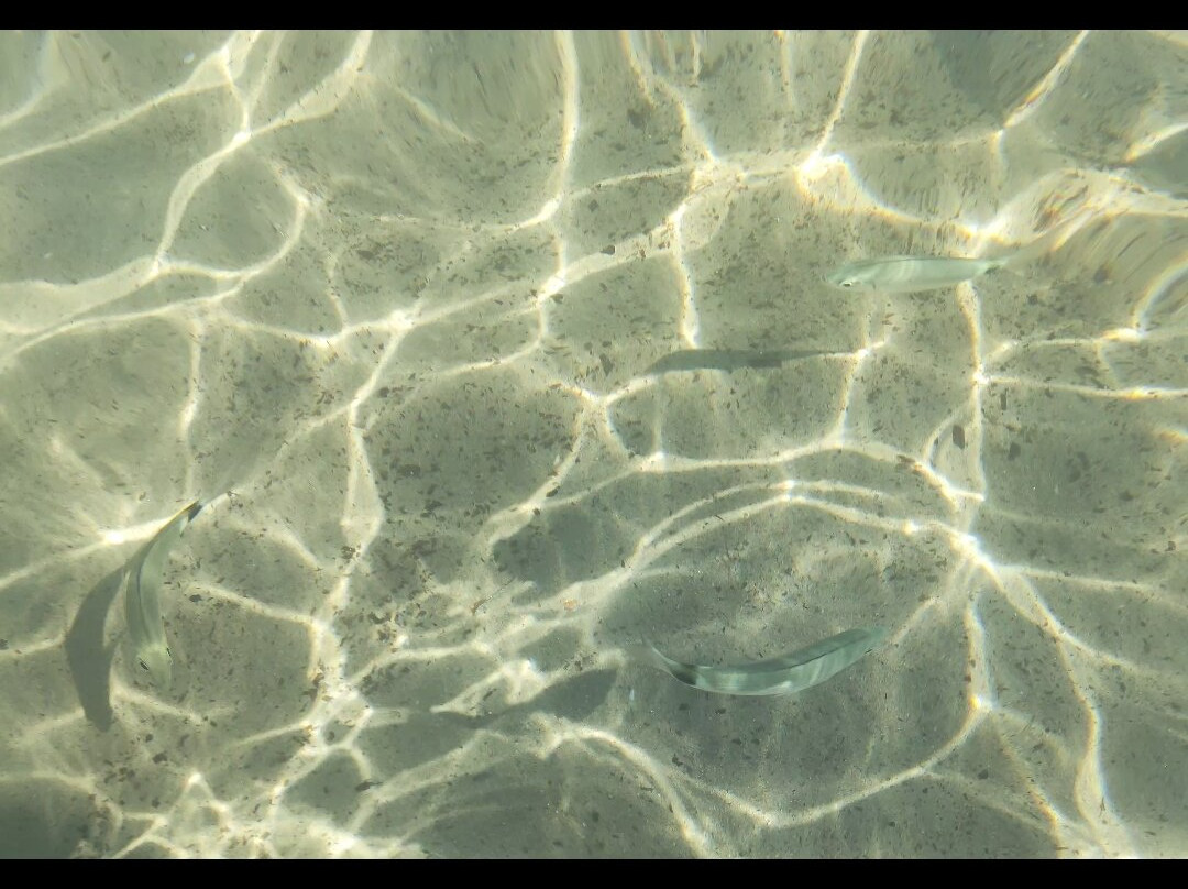 Le Farfalle - Cala Suaraccia Beach-San Teodoro必去景点
