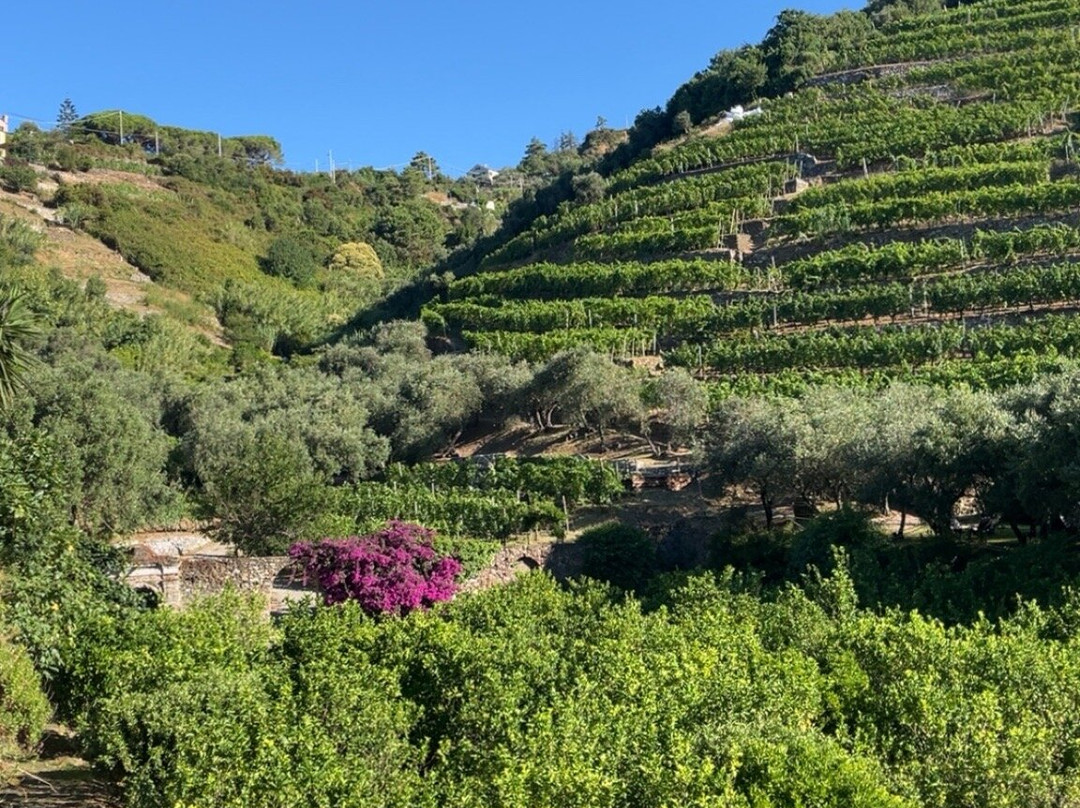 Buranco Agriturismo-滨海蒙特罗梭必去景点