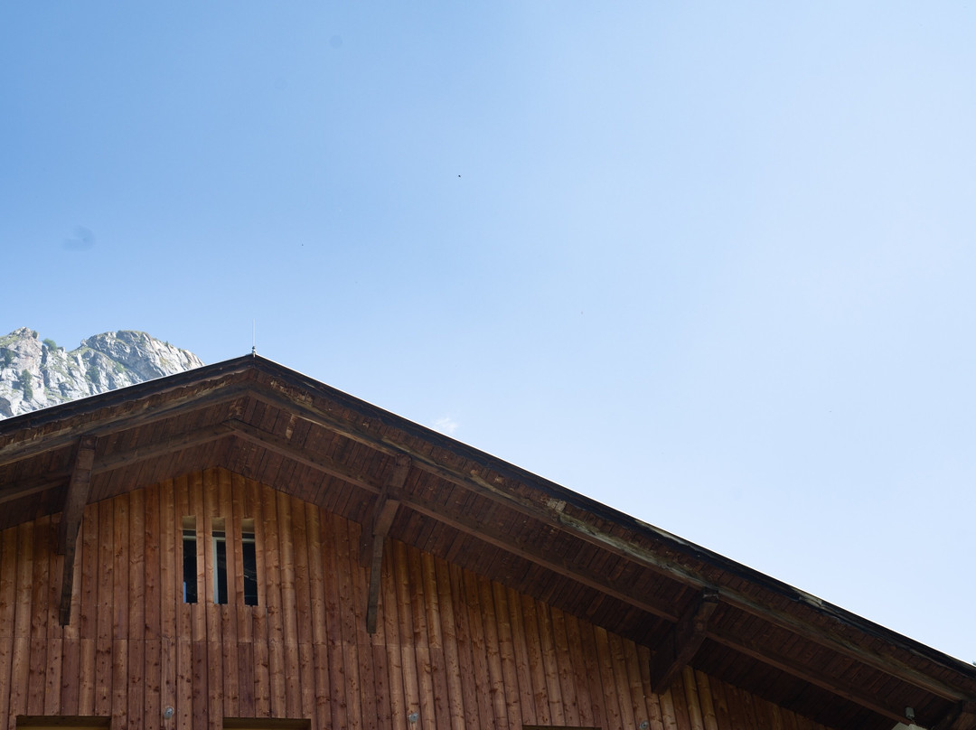 MoaAlm Mountain Retreat主图